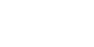 Broadcast Software International